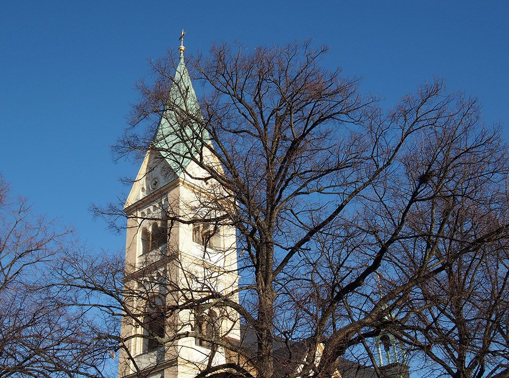 /Lípa velkolistá, strom před kostelem sv. Norberta.