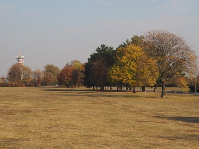 Ladronka a její stromy v barvách podzimu.