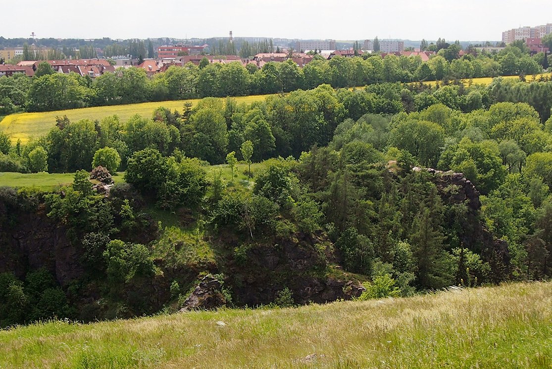 /Pohled přes soutěsku na pole s řepkou.