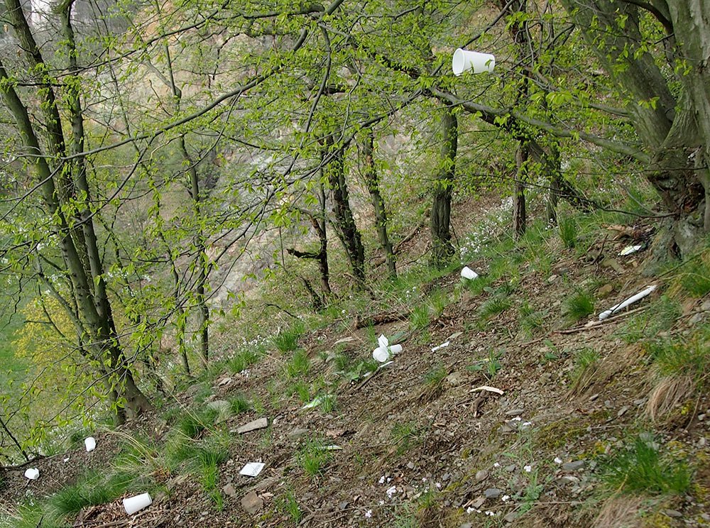 /Přírodní památka Baba, plastové kelímky pod stromy i na stromě.