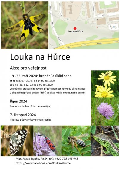 Louka na Hůrce - hrabání sena 19.-22. 9. 2024