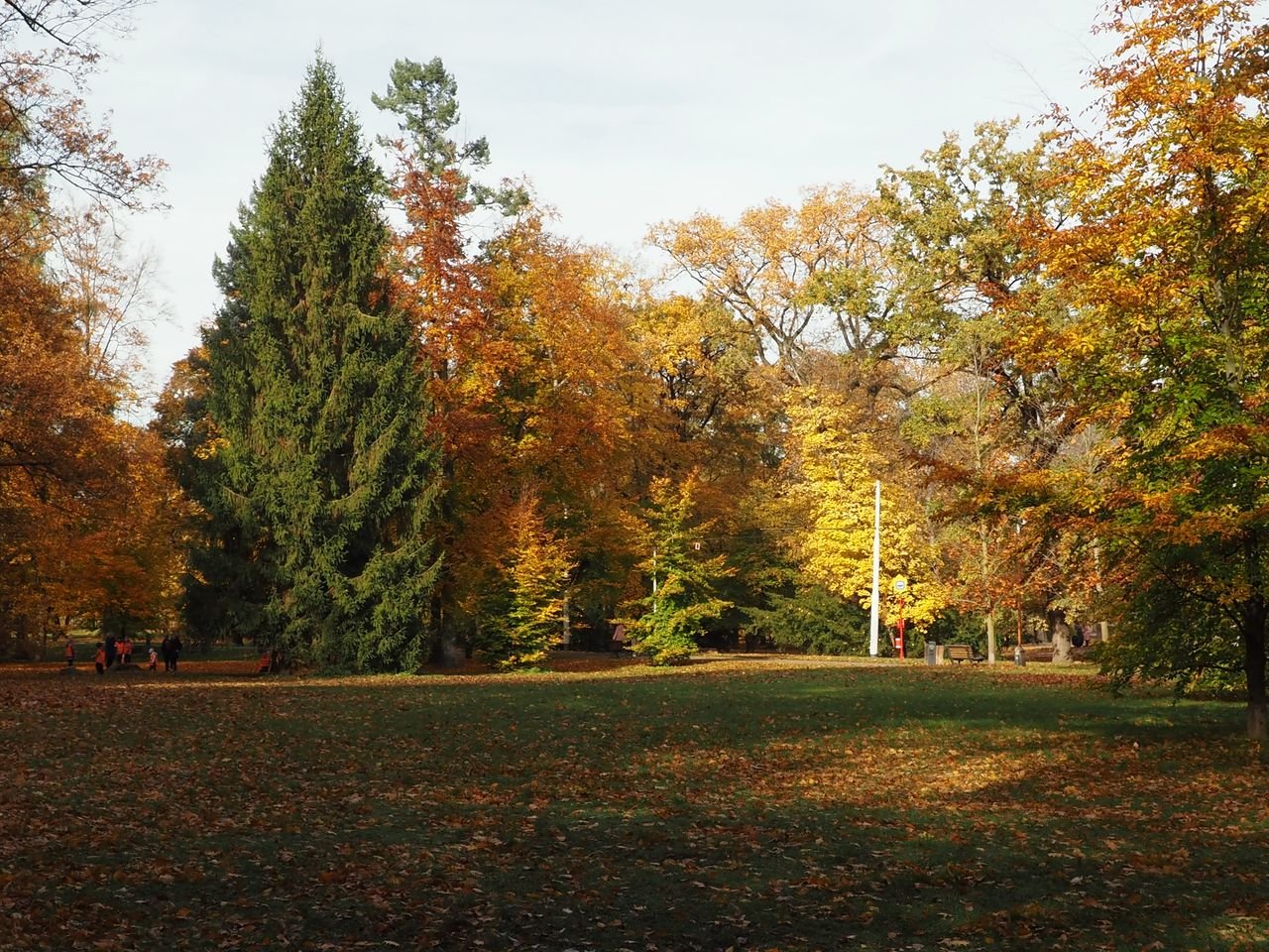 /Podzimní barvy kolem louky ve Stromovce. /Podzimní barvy kolem louky ve Stromovce.