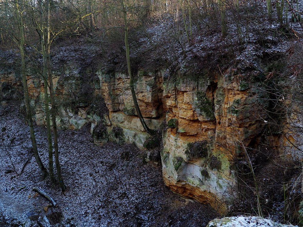 /Lysolaje, pískovcová rokle v Houslích. /Lysolaje, pískovcová rokle v Houslích.