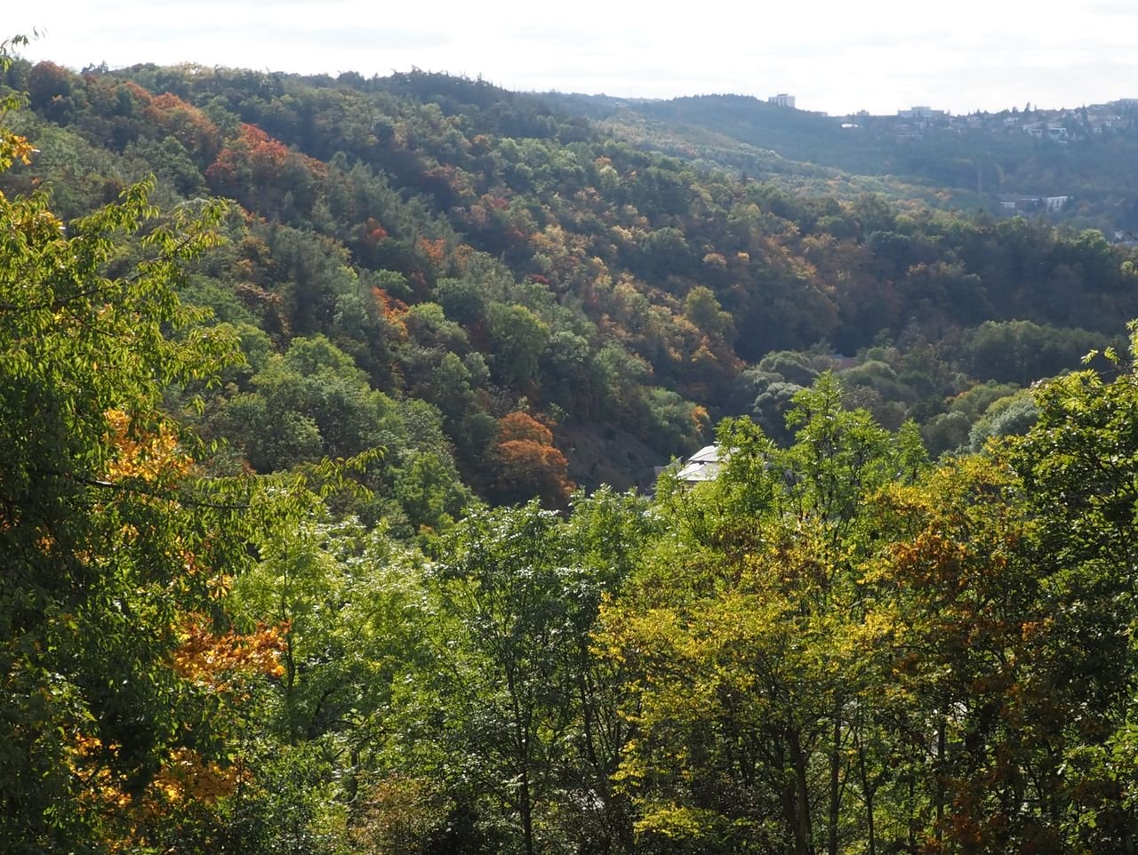 /Výhled na severní svah nad Šáreckým potokem.